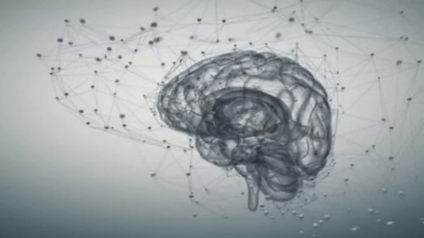 3 Ways Science Explains How the Law of Attraction Works (Your Mind Creates Your Reality!)