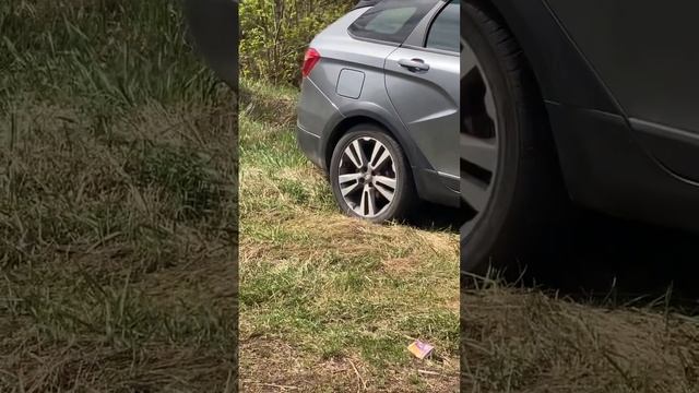 Ласка рекламирует диски #shorts #рекомендации