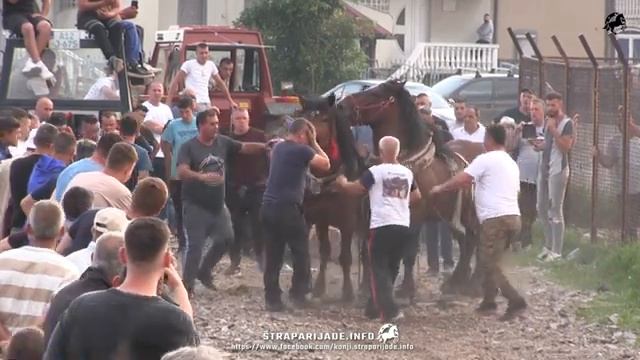 straparijada , pad konja смотреть онлайн