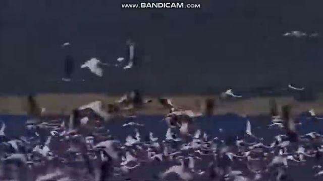 Чересчур большие амбиции смотреть онлайн