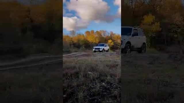 НИВА УРБАН стайлинг #shorts