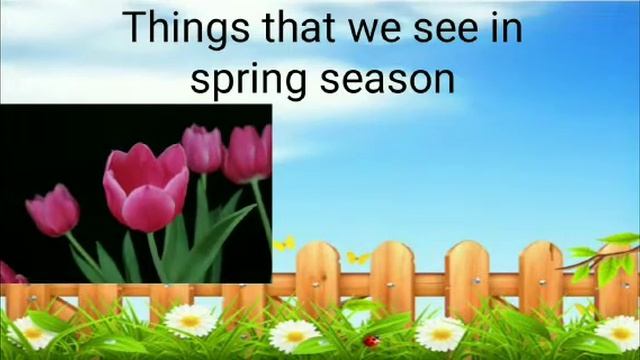 SPRING SEASON | Things We See In The Spring Season
