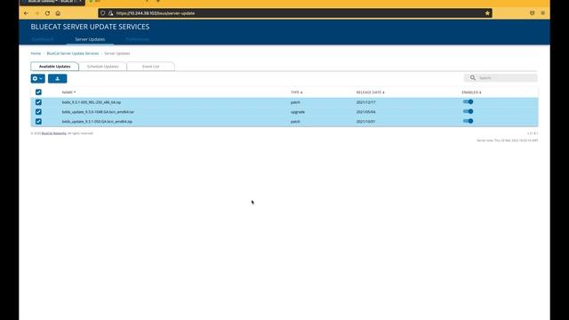 BlueCat Server Update Services - Adaptive Application смотреть онлайн