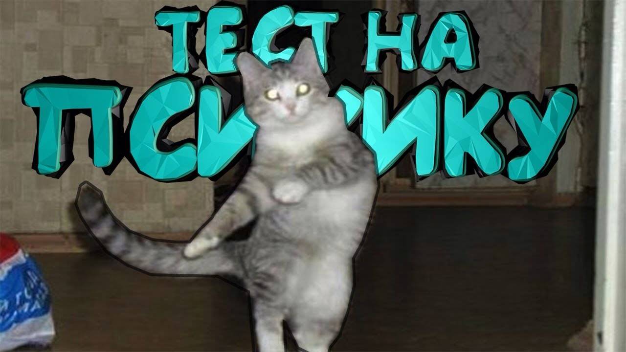 СМЕШНЫЕ ИСПУГИ ЛЮДЕЙ смотреть онлайн