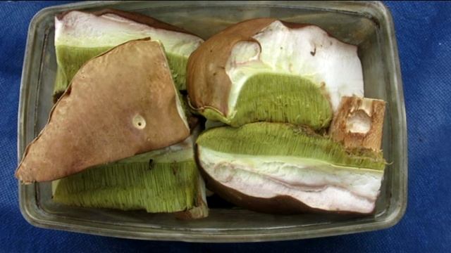 Руза - 2019 смотреть онлайн