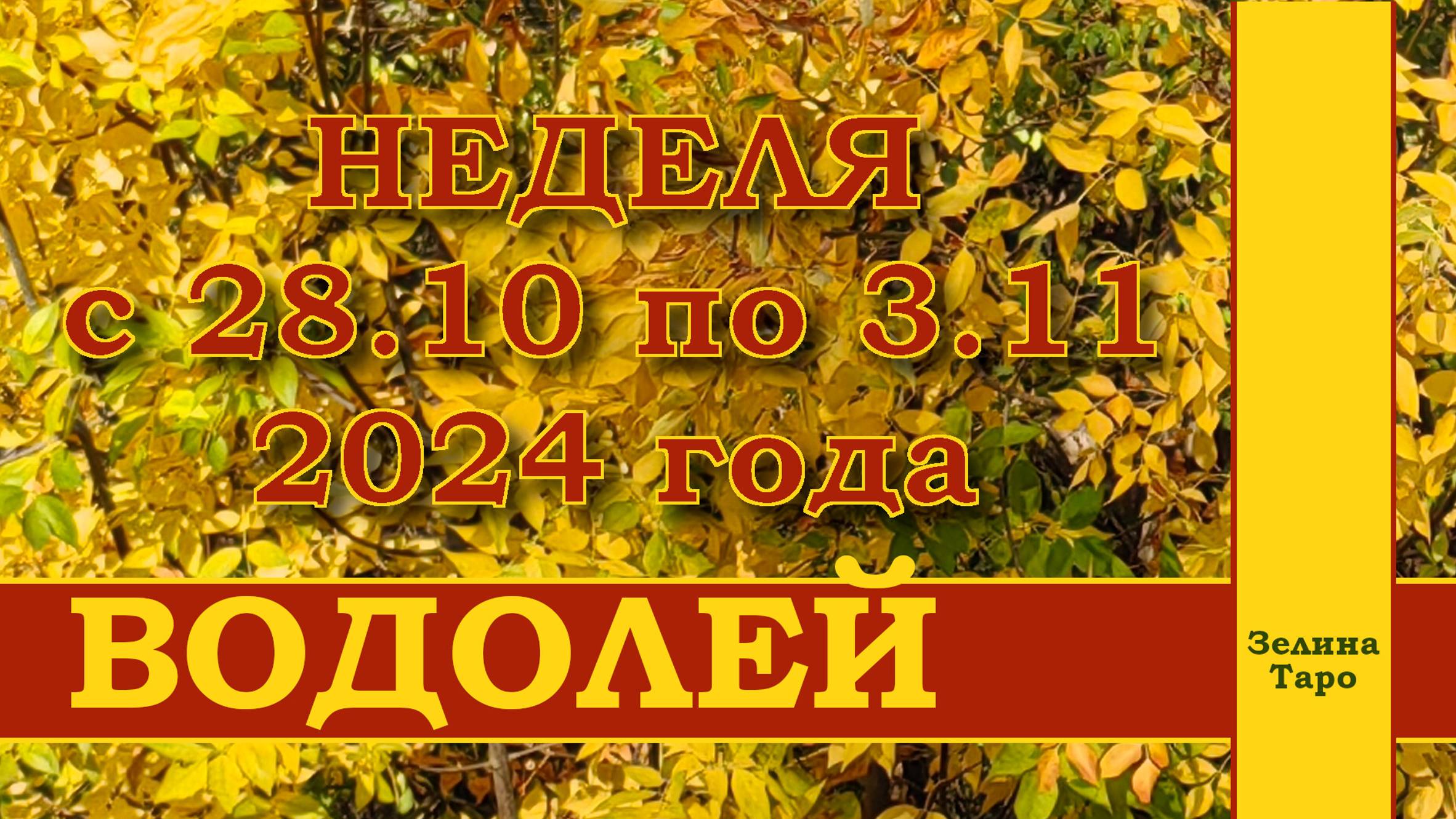 ВОДОЛЕЙ | ТАРО прогноз на неделю с 28 октября по 3 ноября 2024 года