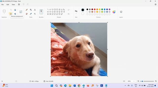 How to Remove Background from an image in Windows 11 using Paint смотреть онлайн
