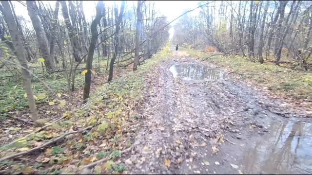 Покатуха 27.10.2024 #2 смотреть онлайн