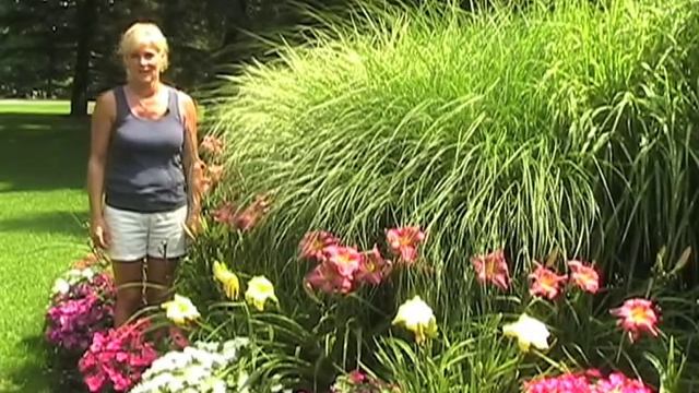 Gardening Inspirations - A Garden Tour with White Flower Farm Nursery Manager Barb Pierson смотреть онлайн