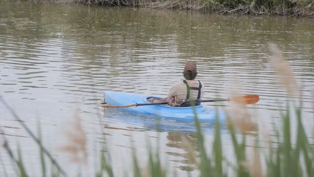 UTopia Episode 15: Living with Wildlife (Part 3) смотреть онлайн