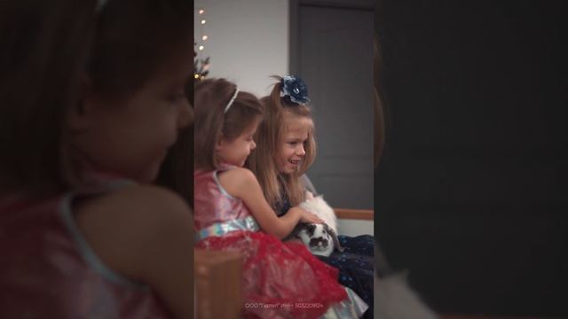 Дари эмоции. GARTEL