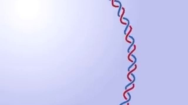Topoisomerase 1 And 2