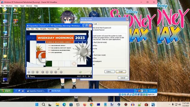 Windows XP BSOD 1114 (2023) смотреть онлайн