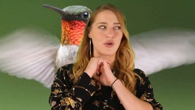 Top 10 Incredible Animals You Won't Believe Exist | Marathon смотреть онлайн