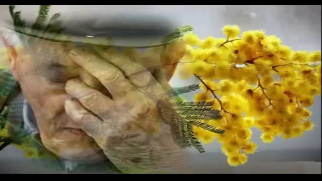 ДУШЕВНЫЕ РАССКАЗЫ❤️ЗЭКА❤️БЫВШАЯ❤️МНЕ БЕЗ ТЕБЯ ТАК ОДИНОКО❤️Я И ЕЩЁ РАЗ Я❤️ТЮЛЬПАНЫ#TEFI РАССКАЗЫ смотреть онлайн