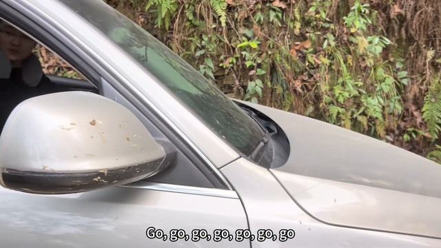 史上最搞笑的越野，奧迪Q5上山撞掉護欄，下山撞壞車頭！【王成佛半山木屋农场】#越野#Audi#q5#搞笑#car#quattro