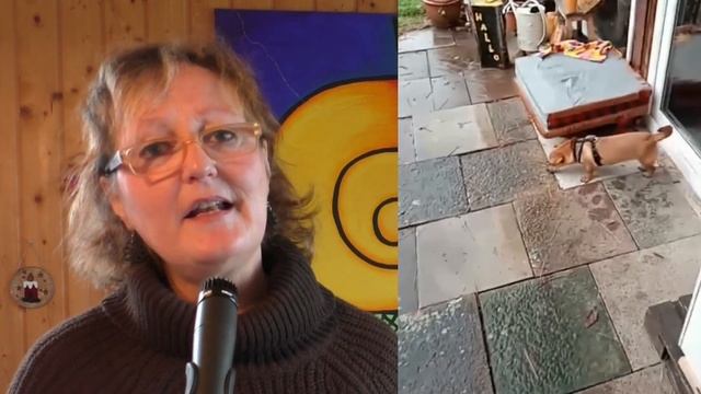 Häng dein Herz nicht an einen Hund - Dagmar Jahn смотреть онлайн