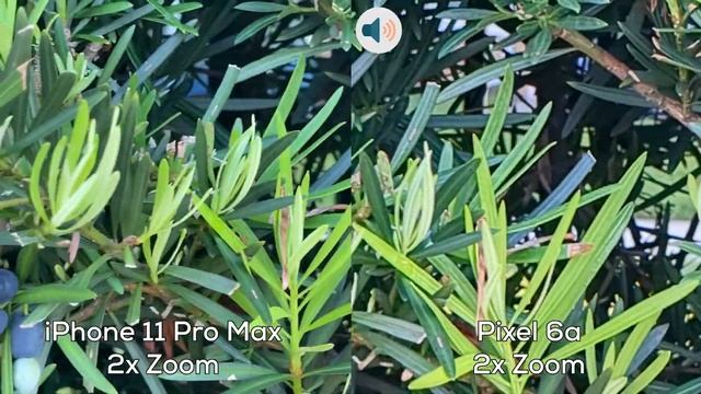 Pixel 6a vs iPhone 11 Pro Max Camera Comparison 1080p 60fps смотреть онлайн