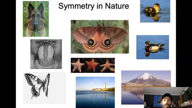 Grade 6 - Mathematics - Symmetry: Reflective / WorksheetCloud Video Lesson смотреть онлайн