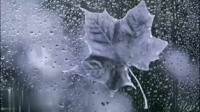 #Dimash #Dears #DQ #Димаш #Вдохновение