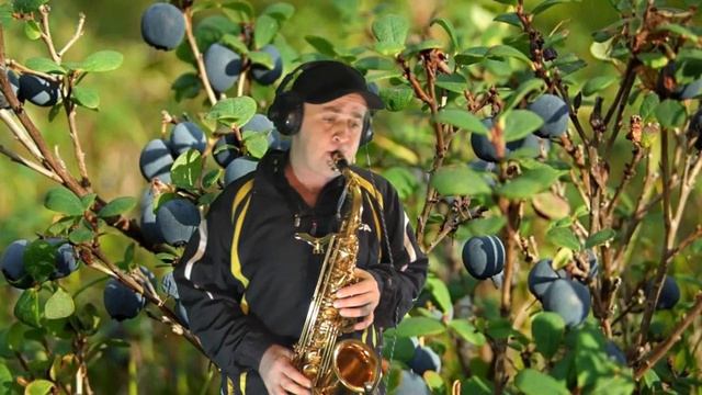 Лесоповал - Голубика ( cover by Amigoiga sax ) смотреть онлайн