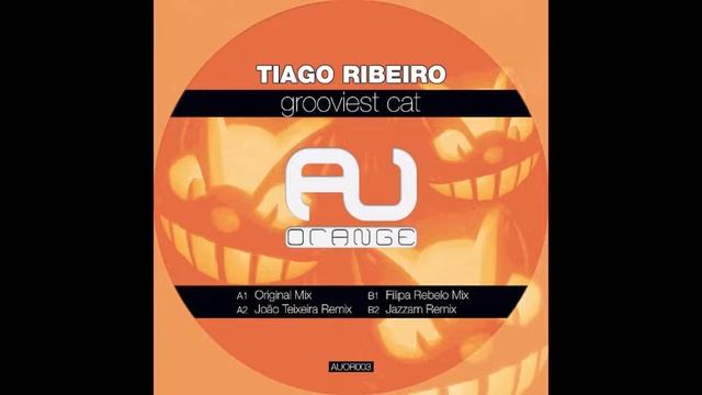 Tiago Ribeiro - Grooviest Cat (Joao Teixeira Remix) смотреть онлайн