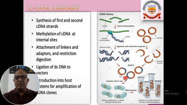 C--DNA LIBRARY смотреть онлайн