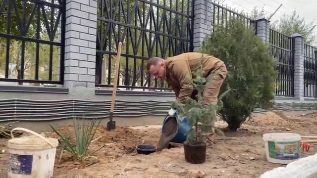 Всероссийская экологическая акция "Зеленая Россия" смотреть онлайн