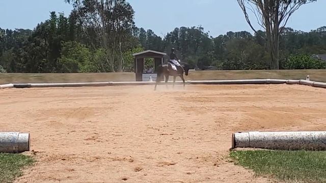 CDG Prelim 1C 16 November 2019 смотреть онлайн