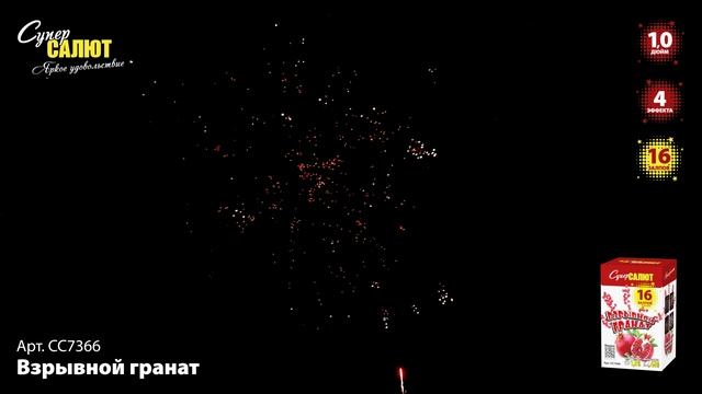 СС7366_2024 смотреть онлайн