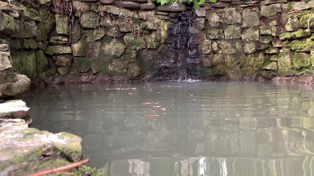 Сочи парк смотреть онлайн