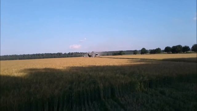 Зернофураж 2018 смотреть онлайн