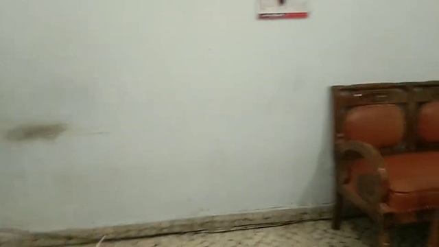 Sing and Dance "I like to eat apples and bananas" #Private Class смотреть онлайн