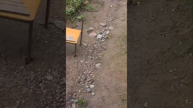 Электмонтаж под ключ в деревянном доме в металлических трубах+молниезащита +электролитическое ... смотреть онлайн