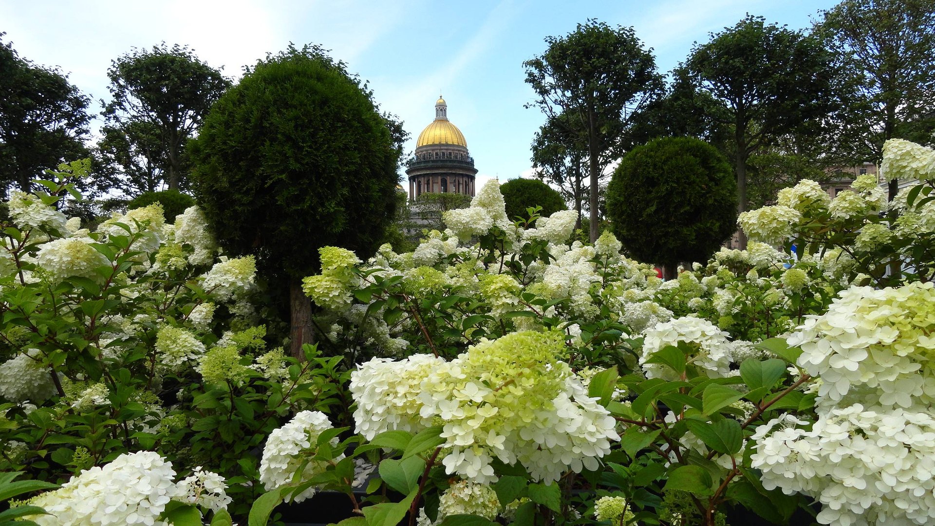 Сад трансформер на Синем мосту в Петербурге. смотреть онлайн