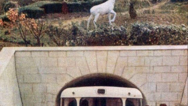 Сочи вчера и сегодня. Узнаваемые места смотреть онлайн