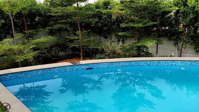 Little Utopia Farm House || Chilkur || Hyderabad #farmhouse #vacation смотреть онлайн