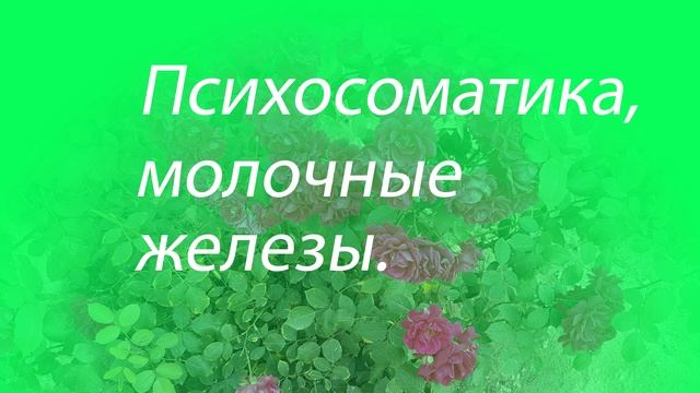 Психосоматика молочные железы смотреть онлайн