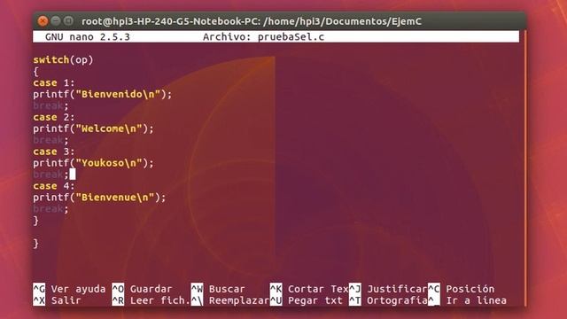 Programar en GCC uso Switch Case break(C para Linux) смотреть онлайн