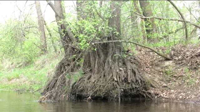 Поля-Клязьма смотреть онлайн