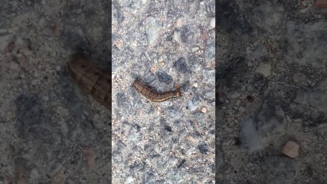no name (yet unknown) смотреть онлайн