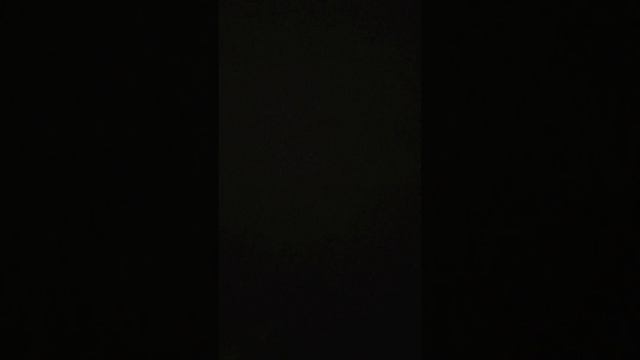 Опять сирена! #mosacore #сирена #тревога смотреть онлайн