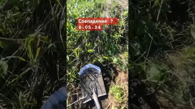 Совпадение ? #shorts #клад #коп