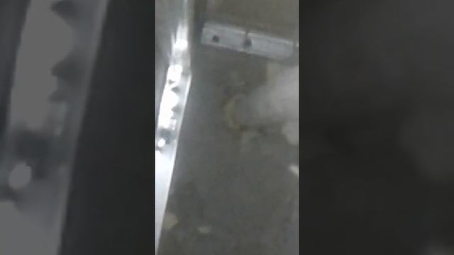 Протечки тут лучше видно смотреть онлайн