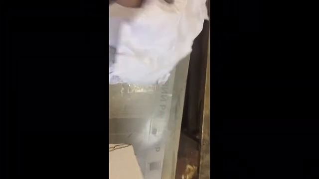 Распаковка от Шевы! смотреть онлайн