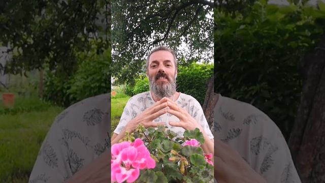 Про проработки без конца. смотреть онлайн
