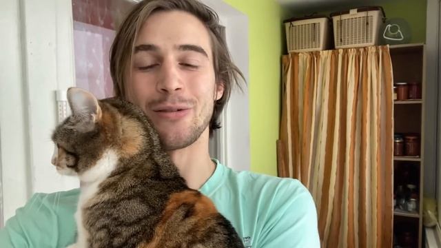 Одно удовольствие быть дома, развитие мира смотреть онлайн