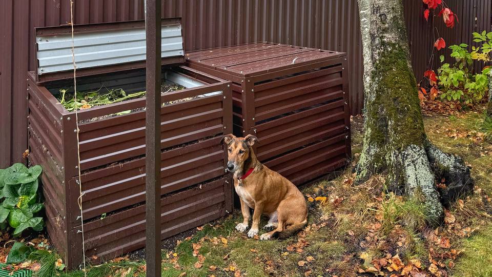 Познакомьтесь с компостером из серии "Компакт" - идеальным решением для вашего сада или огорода! смотреть онлайн