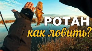 Ловлю РОТАНА ранним утром. Секреты и советы.#микроджиг #рыбалка