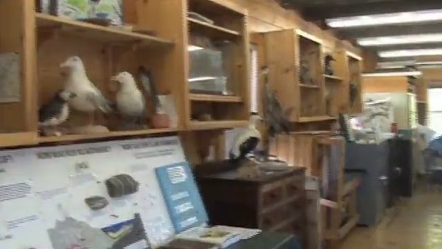 Kieve Boys Camp смотреть онлайн